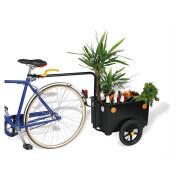 Remolque de bicicleta Bellelli Eco trailer maxi